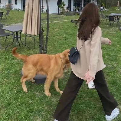 恋上美人鱼